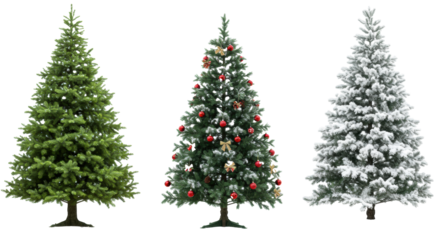 Lush green spruce, frosted pine with red ornaments, flocked fir with snow; studio shot on transparent background, copy space Concept of festive winter elegance and holiday anticipation