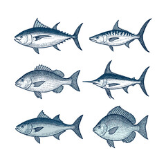 Marine Game Fish Set Including Tuna and Swordfish Engraving
