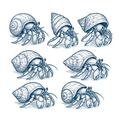 Hand-Drawn Hermit Crab Shell Collection