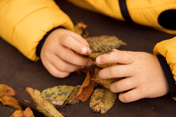 Child exploring autumn leaves in the forest