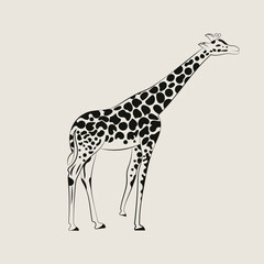 Vector hand drawn minimalistic illustration of giraffe. Creative artwork. Template for card, poster, banner, print for t-shirt, pin, badge, patch. Black and beige