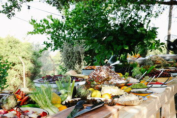Wide Angle Shot of a Lavish Rustic Outdoor Buffet Table Loaded with Gourmet Dishes, Fresh Vegetables, Dips, and Salads for a Garden Catering Event