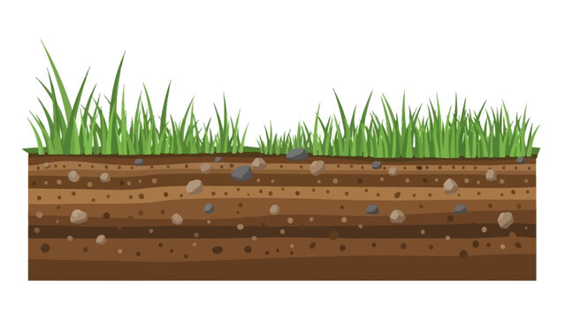 an illustrative depiction of a soil profile showcasing layers of earth stones and vibrant green grass blades above high quality professional