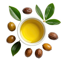 A top-down view of golden jojoba oil surrounded by fresh leaves and various stages of jojoba seeds against a black background.