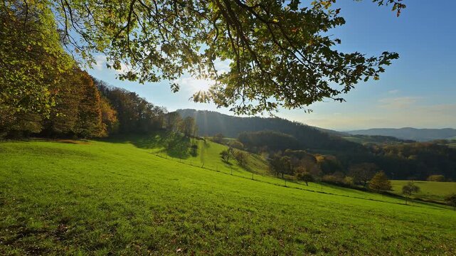 Weite gr&uuml;ne Wiesen unter strahlender Sonne und klarem Himmel f&uuml;r eine nat&uuml;rliche, friedliche Stimmung, V&ouml;ckelsbach, M&ouml;rlenbach, Landkreis Bergstrasse, Odenwald, Hessen, Deutschland, Europa 