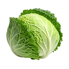 A vibrant green savoy cabbage isolated against a stark black background.