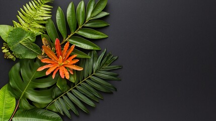 Tropical Foliage and Orange Flower on Dark Background Botanical Still Life.