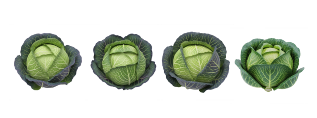 Set Of Fresh Cabbage isolated on transparent background, Cabbage Vegetable PNG 