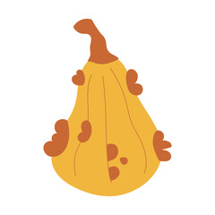 Hand drawn pumpkin doodle. Thanksgiving and Halloween decoration. Vector illustration, flat design