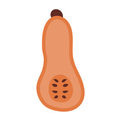 Pumpkin cut in half. Hand drawn pumpkin doodle. Thanksgiving and Halloween decoration. Vector illustration, flat design