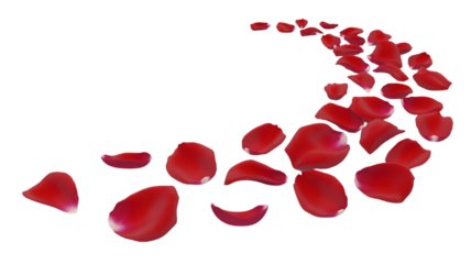 Red Rose Petals Flowing in a Curve on Black Background