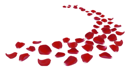 Red Rose Petals Scattered in a Swirl on Black Background