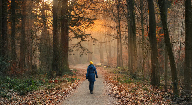Woman walking in a forest with golden glow and mist illuminated by the beautiful sunlight - Powered by Adobe