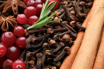 Different spices, fresh rosemary and cranberries for mulled wine, closeup