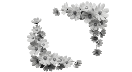Elegant monochrome floral arrangement forming a question mark on a black background