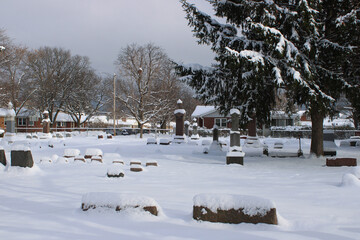 Small suburban Chicago cemetery after a snowfall with a large evergreen tree