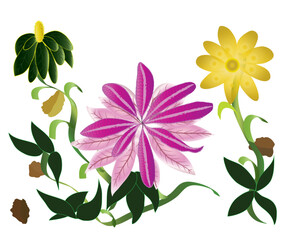 Yellow flower with convex edges in shades of mauve and pink, and green leaves.