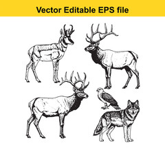  vector illustration of deer, elk, wolf, and bird in editable eps format for design