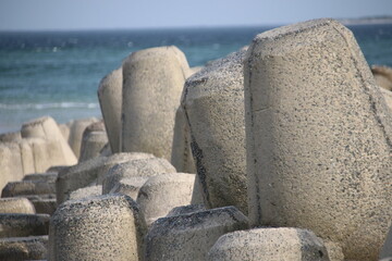Sylt, H&ouml;rnum, Tetrapoden