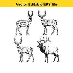  vector illustration of four deer in different poses and line art style