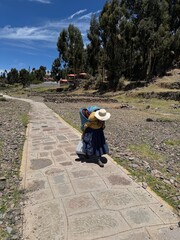 An elder woman in traditional clothes carries a heavy load on her back in Amantani, Peru.