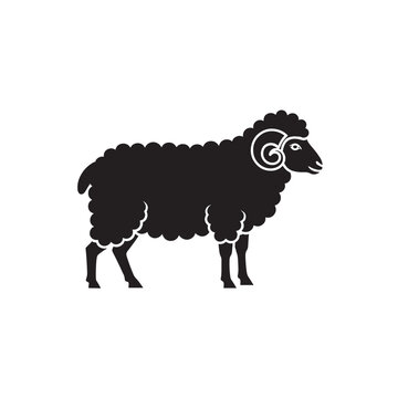Cartoon black sheep simple silhouette graphic illustration isolated on white background for animal icon or farm logo design