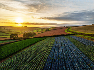 Colours of autumn Fields and Farms over Sheldon from a drone, Torbay, Devon, England