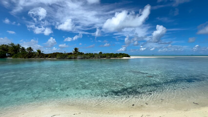 Luxury resort photo of French Polynesia tropical 
paradise island Fakarava with palm trees. Photography with azure ocean, sky with clouds on horizon. Pacific Ocean.
