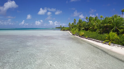 Luxury resort photo of French Polynesia tropical 
paradise island Fakarava with palm trees. Photography with azure ocean, sky with clouds on horizon. Pacific Ocean.