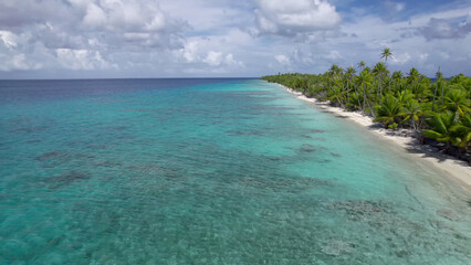 Luxury resort photo of French Polynesia tropical 
paradise island Fakarava with palm trees. Photography with azure ocean, sky with clouds on horizon. Pacific Ocean.