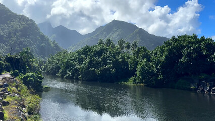 Luxury resort photo of French Polynesia tropical 
paradise island Fakarava with palm trees. Photography with azure ocean, sky with clouds on horizon. Pacific Ocean.