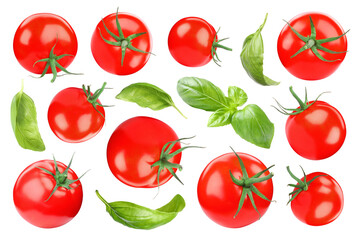 Fresh tomatoes and green basil leaves isolated on white, set