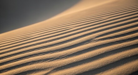 Golden desert dunes with intricate sand patterns in evening light