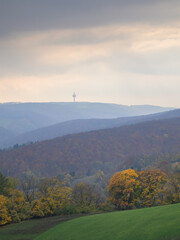 Obraz premium Winter forest trees with colorful leaves under cloudy sky