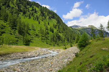 Fototapeta premium River in Dorfer valley with forest and meadows in Kals Austria cloudy summer view