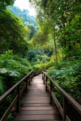Obraz premium Serene wooden pathway through lush green forest in sunlight