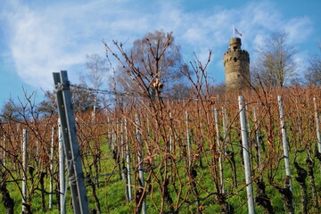 The tower of the Heuchelberg lookout in Leingarten near Heilbronn, Germany, Europe