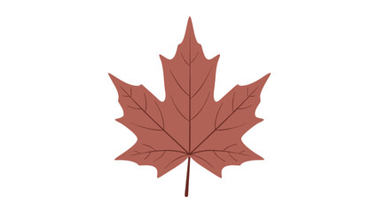 Fototapeta premium red maple leaf