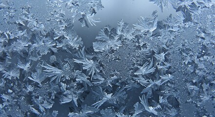 Obraz premium Abstract frost patterns on icy glass window with detailed crystalline winter design
