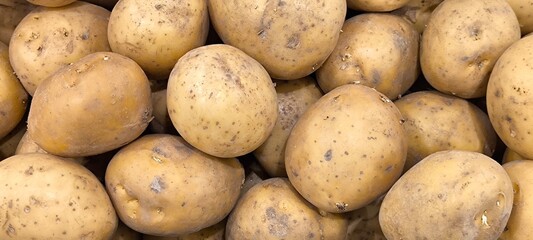 Potatoes are a crop that can produce a fast yield even in small areas.