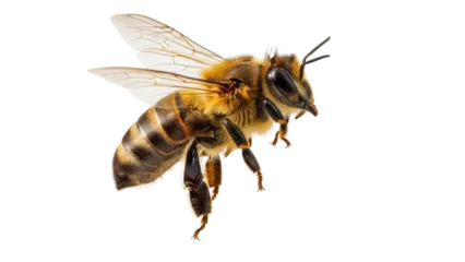 Fototapete Rund Bei Detailed honeybee PNG isolated on transparent background, close-up of a flying insect with wings and striped abdomen for beekeeping and nature designs  © Matej