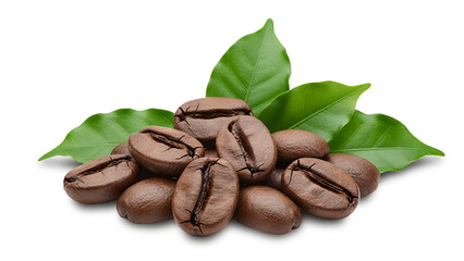 photo of coffee beans and coffee leaves