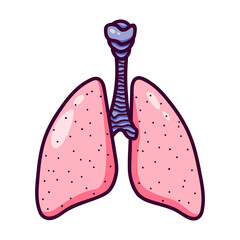 Human lungs in cartoon style.  Lungs logo or icon with bronchi.  Isolated on white background, there is a place for an inscription