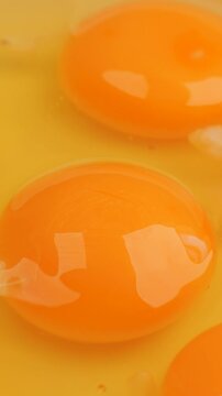 raw egg yolks close-up, rotation in circle. fresh eggs for recipe preparation, Turning. vertical video. cooking ingredient