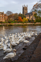 Worcester Cathedral and the River Severn in the UK