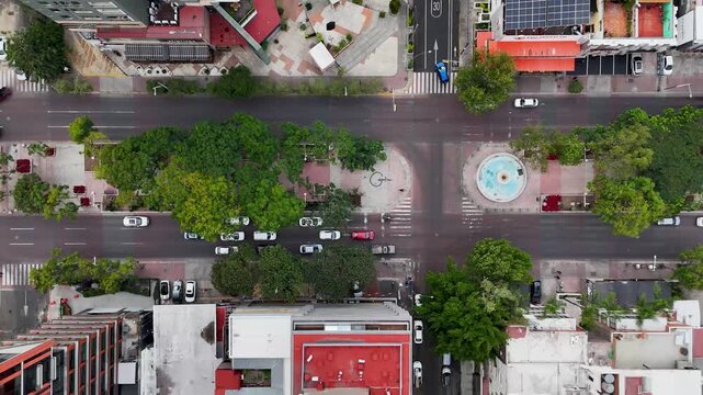 Avenida Chapultepec, importantes calles en Guadalajara  con andador arbolado