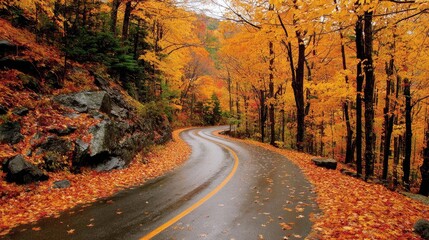 Winding road through forest ablaze with autumn colors.