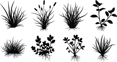 Collection of eight black silhouettes of plants with roots on white background vector © Obaidul Vector Zoon
