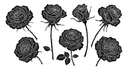 Black and white linocut style roses with thorns and leaves flower flowers 1