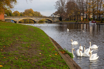 Workman Bridge and the River Avon in Evesham, UK © chrisdorney